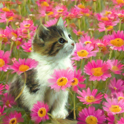 Chaton Tigré et Marguerites Roses Broderie Diamant