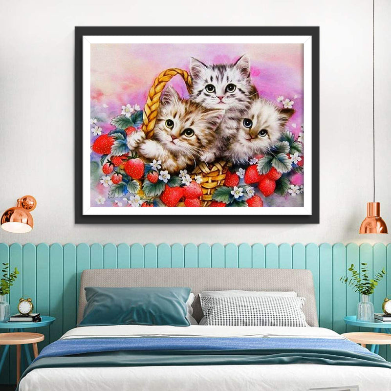 Chatons à Poil Long dans Panier de Fraises Broderie Diamant