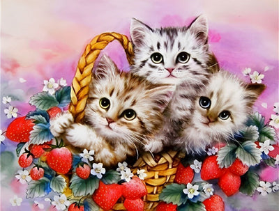Chatons à Poil Long dans Panier de Fraises Broderie Diamant