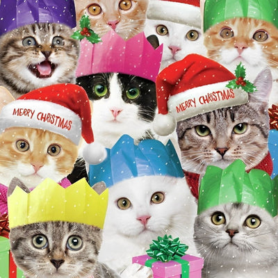 Chatons en Vacances de Noël Broderie Diamant