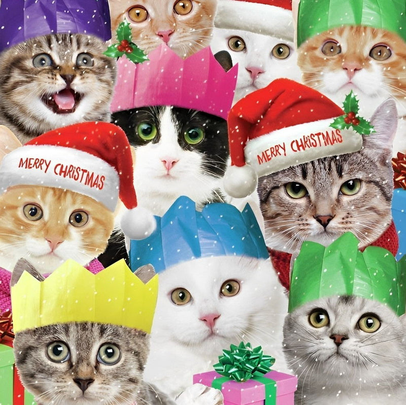 Chatons en Vacances de Noël Broderie Diamant