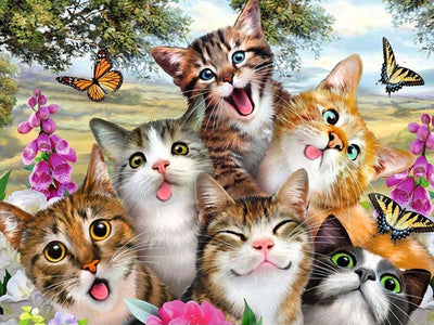 Chatons Espiègle et Papillons Broderie Diamant