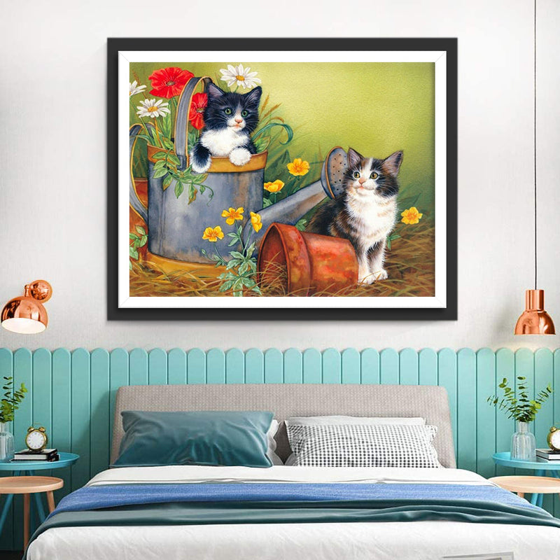Chatons et Cruches d&