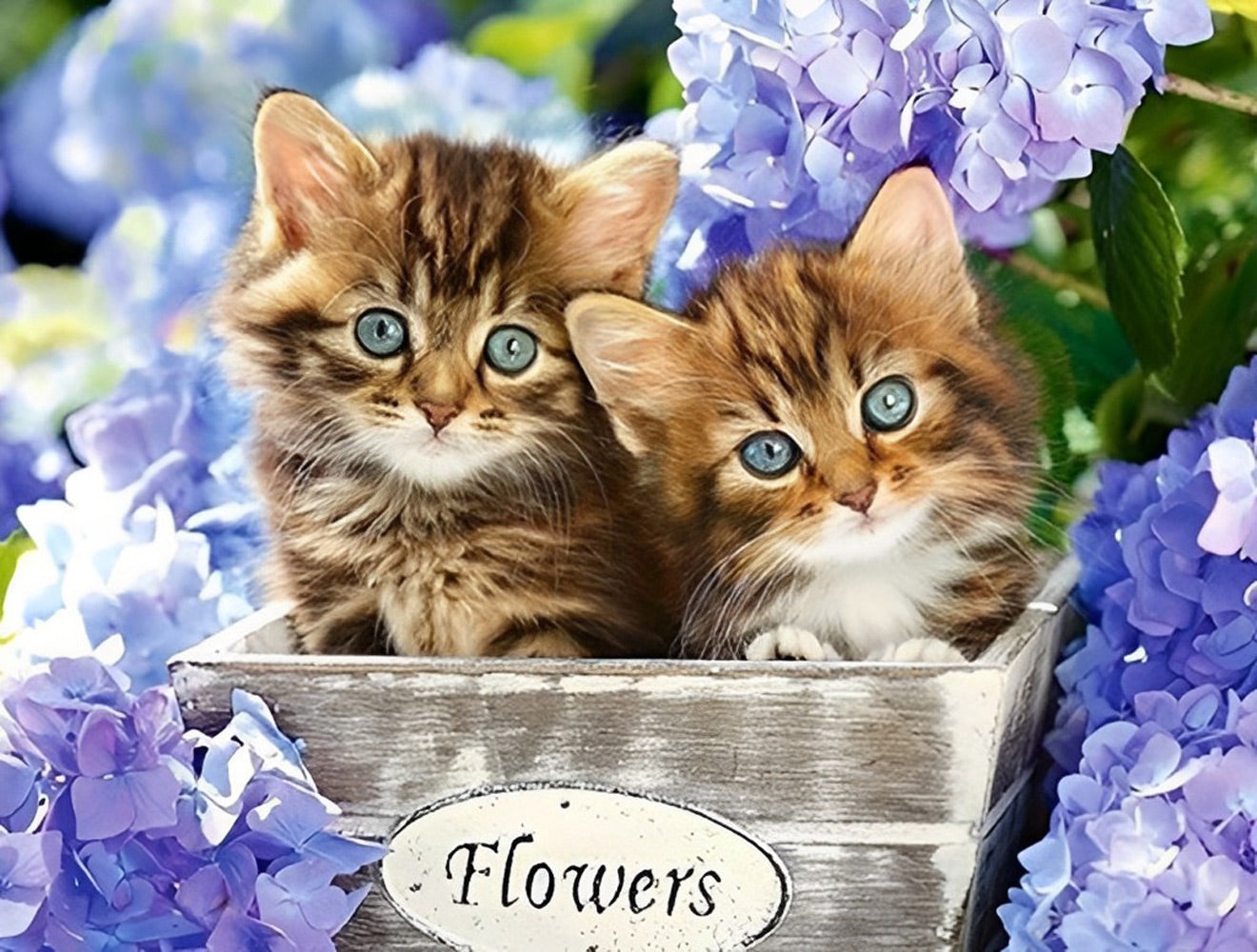 Chatons Tigrés et Hortensia Broderie Diamant