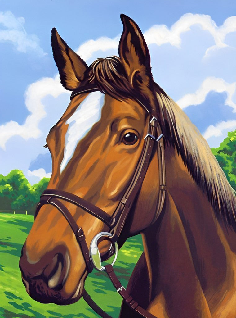 Cheval au Pâturage Broderie Diamant