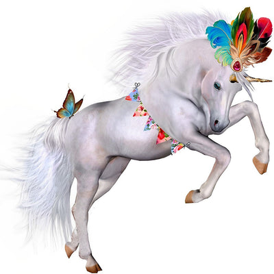 Cheval Blanc et des Plumes Colorées Broderie Diamant