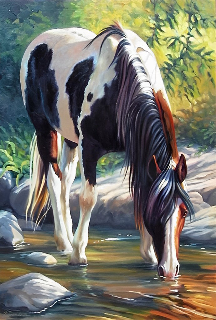 Cheval Blanc et Noir Buvant Broderie Diamant