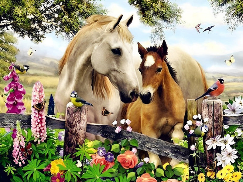 Cheval Blanc et Poulain Marron Broderie Diamant