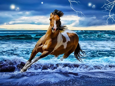 Cheval Brun et Blanc dans la Mer Broderie Diamant