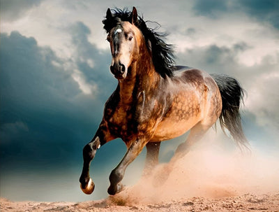 Cheval Courant sur le Sable Broderie Diamant