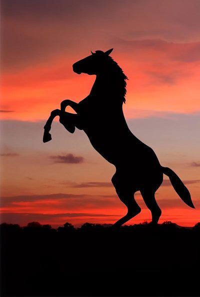 Cheval Debout et Soleil Couchant Broderie Diamant