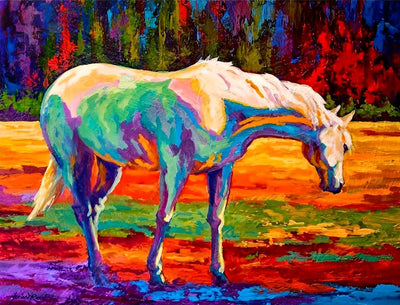 Cheval en Couleurs Fantastiques Broderie Diamant