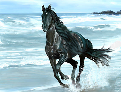 Cheval Noir et la Mer Broderie Diamant