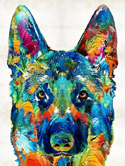 Chien Berger Allemand Coloré Broderie Diamant