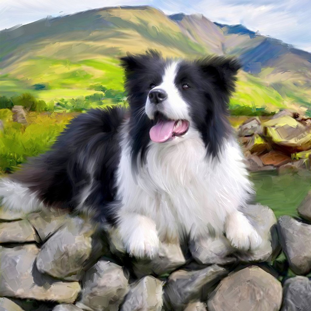 Chien Border Collie et Montagnes Broderie Diamant