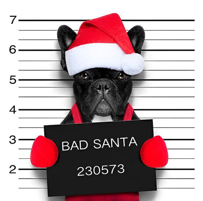 Chien Bouledogue Noir Méchant Père Noël Broderie Diamant