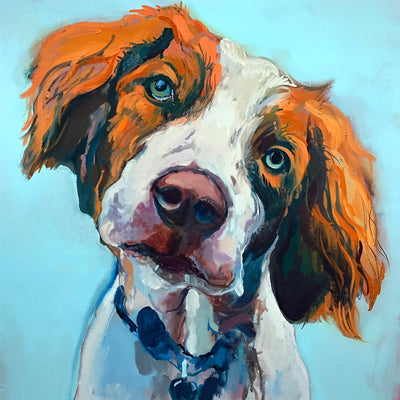 Chien Brun et Blanc Penché de la Tête Broderie Diamant