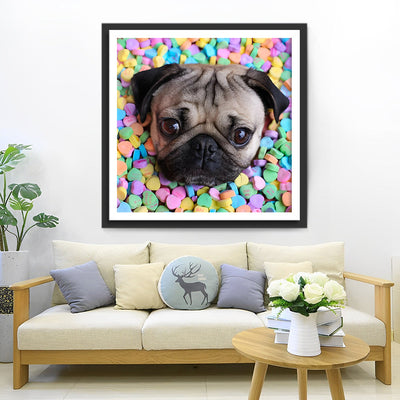 Chien Carlin avec des Bonbons Colorés Broderie Diamant