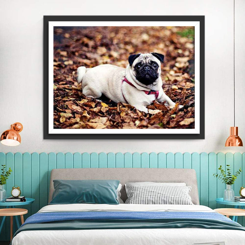 Chien Carlin et Feuilles d&