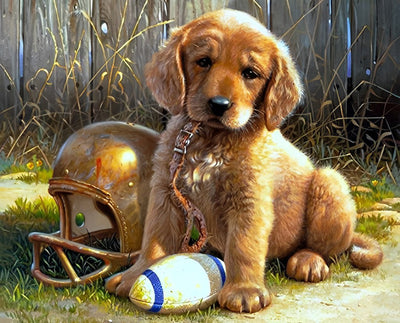 Chien Golden Retriever Jouant au football Américain Broderie Diamant