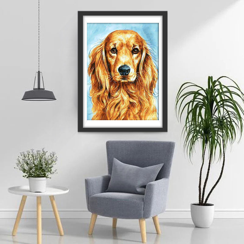 Chien Golden Retriever Sérieux Broderie Diamant