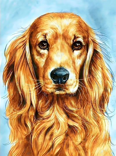 Chien Golden Retriever Sérieux Broderie Diamant