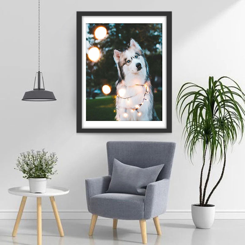 Chien Husky Tournant autour de la Petite Lampe Broderie Diamant