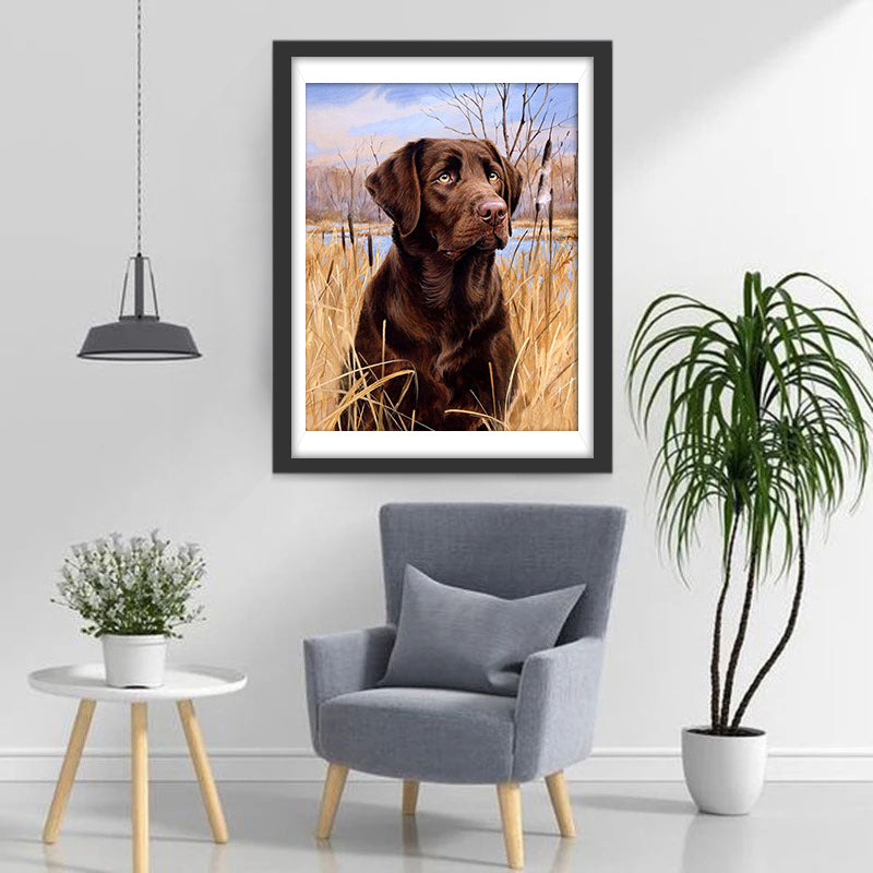 Chien Labrador dans les Roseaux Broderie Diamant