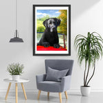 Chien Labrador Noir dans la Voiture Broderie Diamant