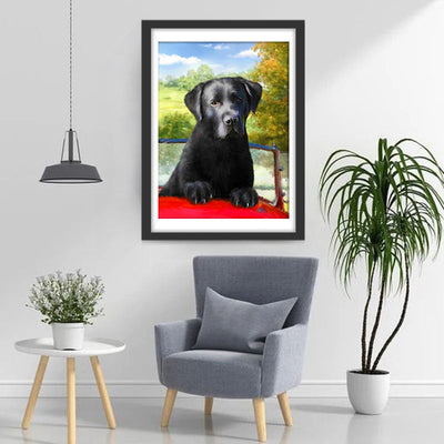 Chien Labrador Noir dans la Voiture Broderie Diamant