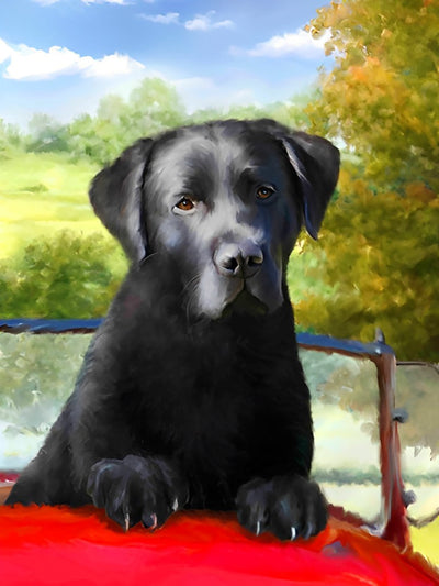 Chien Labrador Noir dans la Voiture Broderie Diamant