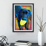 Chien Labrador Noir Jouant au Frisbee Broderie Diamant