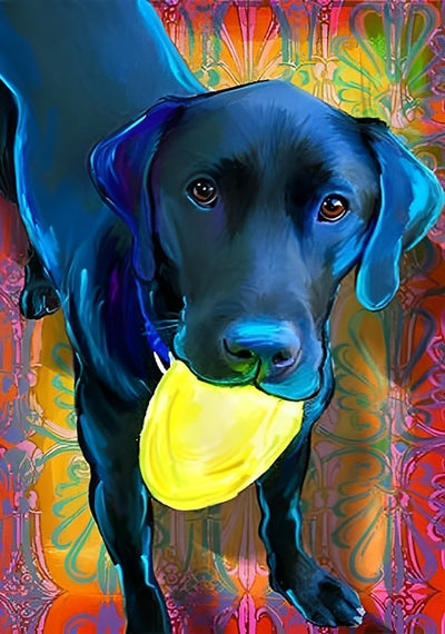 Chien Labrador Noir Jouant au Frisbee Broderie Diamant