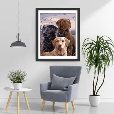 Chien Labradors et Golden Retriever Majestueux Broderie Diamant