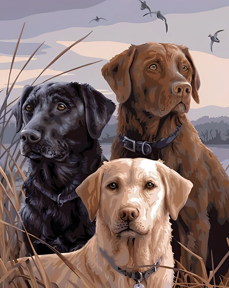 Chien Labradors et Golden Retriever Majestueux Broderie Diamant