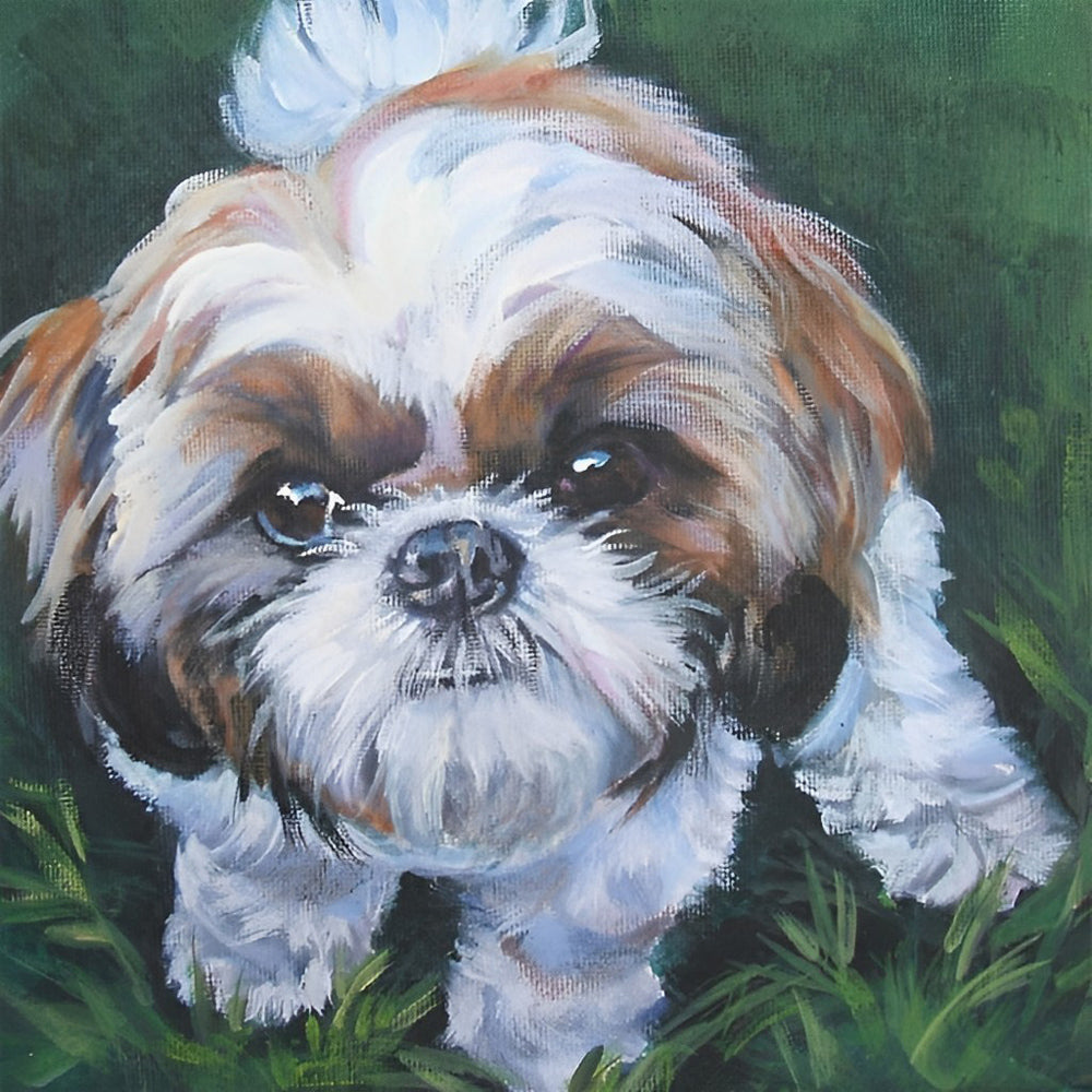 Chien Shih Tzu Brun et Blanc Broderie Diamant
