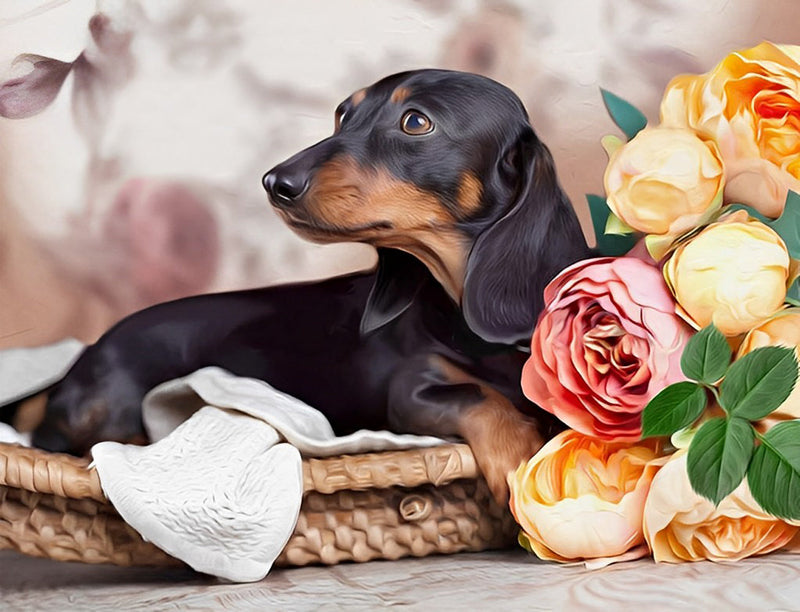 Chien Teckel et des Roses Broderie Diamant