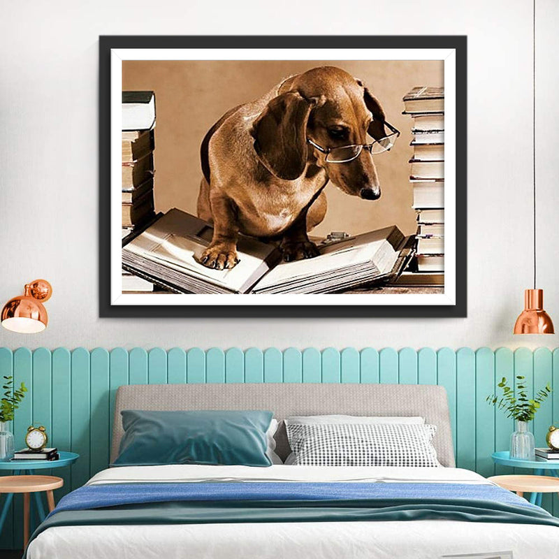 Chien Teckel Lecteur Broderie Diamant