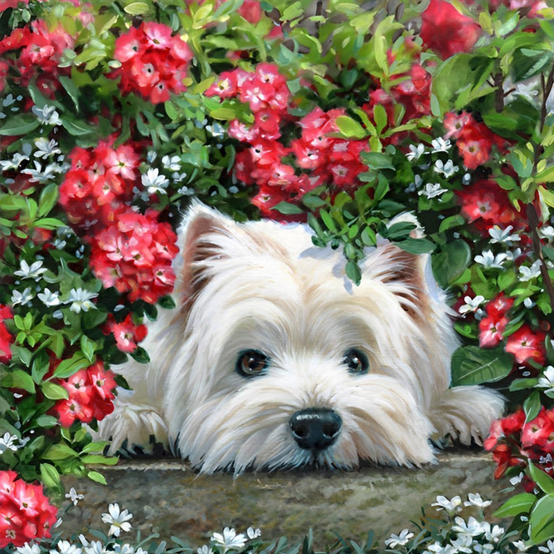 Chien Westie dans les Buissons de Fleurs Broderie Diamant