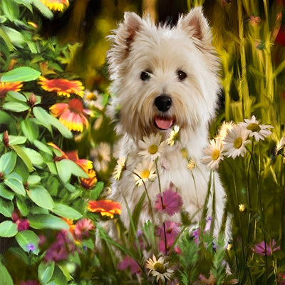 Chien Westie et Marguerites Colorés Broderie Diamant