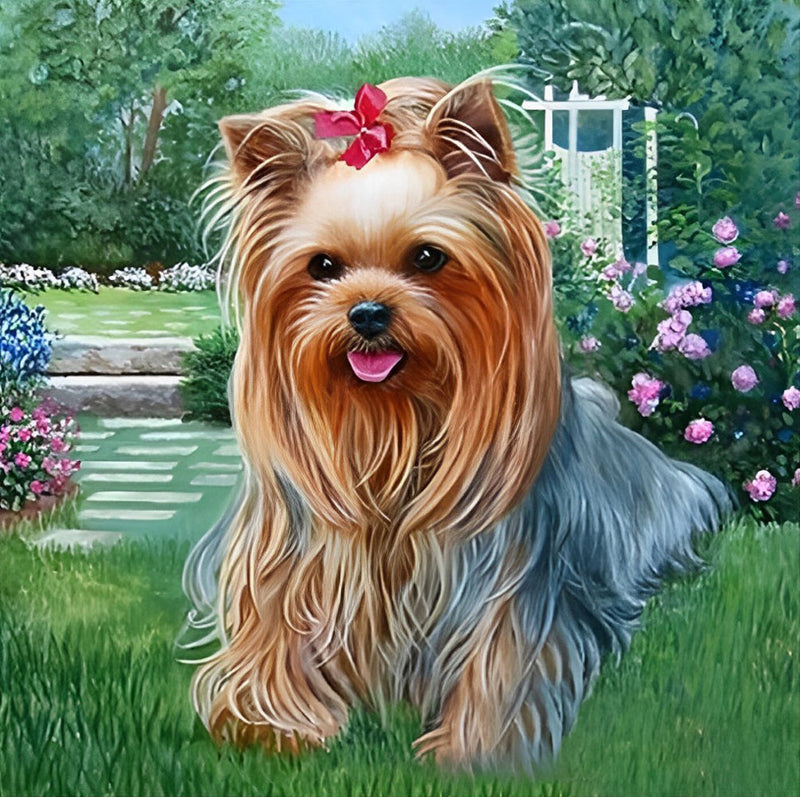 Chien Yorkshire Terrier avec Nœud Papillon Broderie Diamant