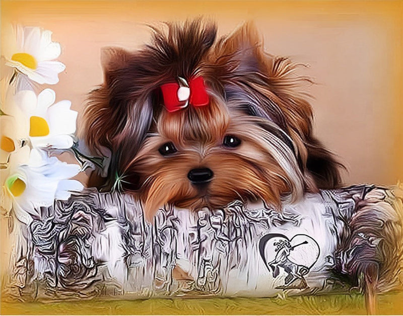 Chien Yorkshire Terrier et des Fleurs Blanches Broderie Diamant