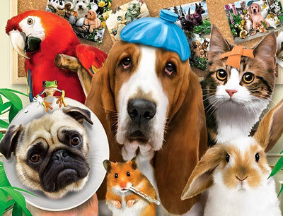 Chiens et Autres Animaux Sans Expression Broderie Diamant