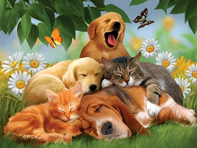 Chiens et Chats avec des Fleurs Broderie Diamant