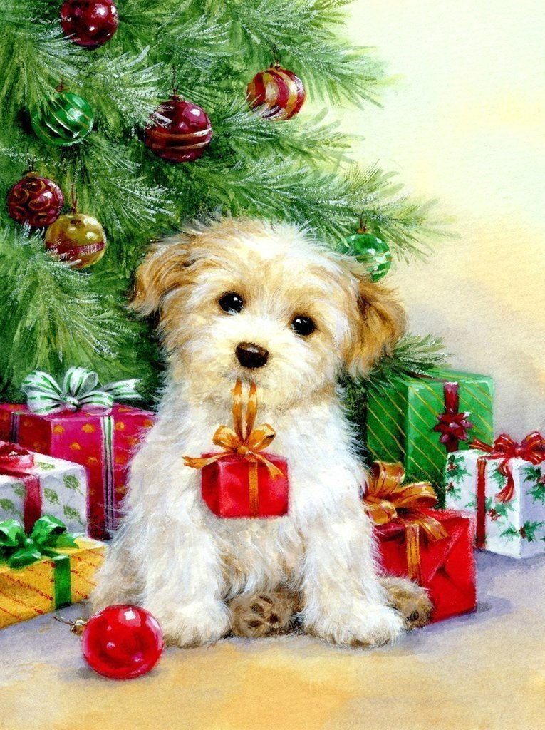Chiot Bouclé de Noël Portant un Cadeau Broderie Diamant