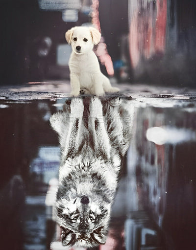 Chiot Golden Retriever et Loup Gris Animal Broderie Diamant