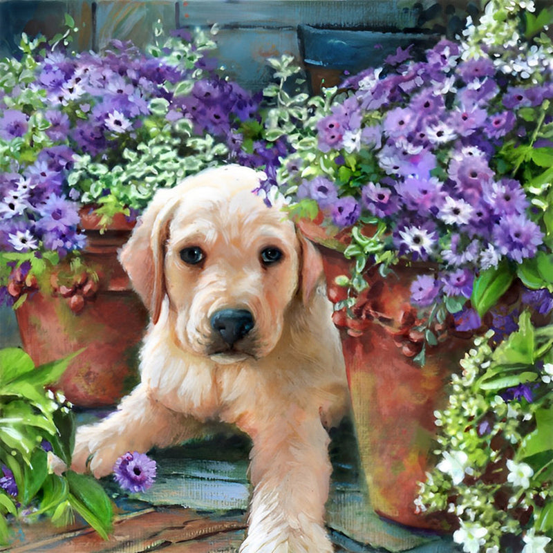 Chiot Golden Retriever et Marguerites Violettes Broderie Diamant