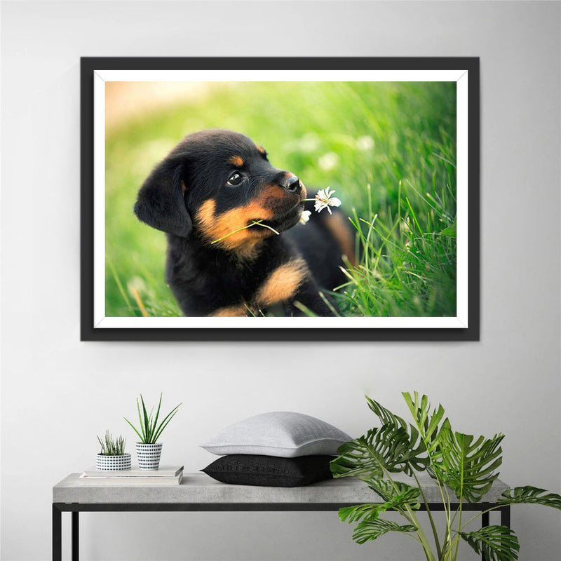 Chiot Rottweiler tenant Petite Fleur dans la Gueule Broderie Diamant