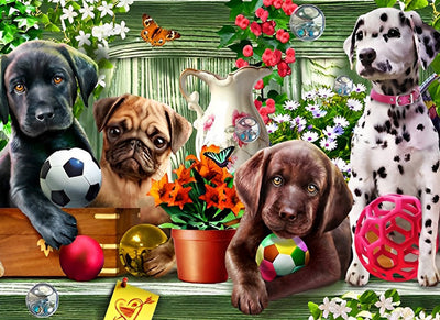 Chiots avec les Balles Broderie Diamant
