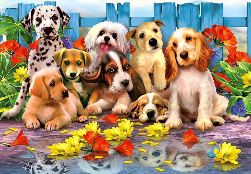 Chiots devant la Clôture Broderie Diamant